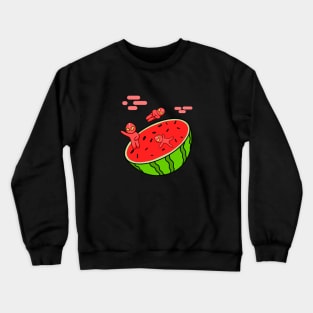 Ultralon Crewneck Sweatshirt